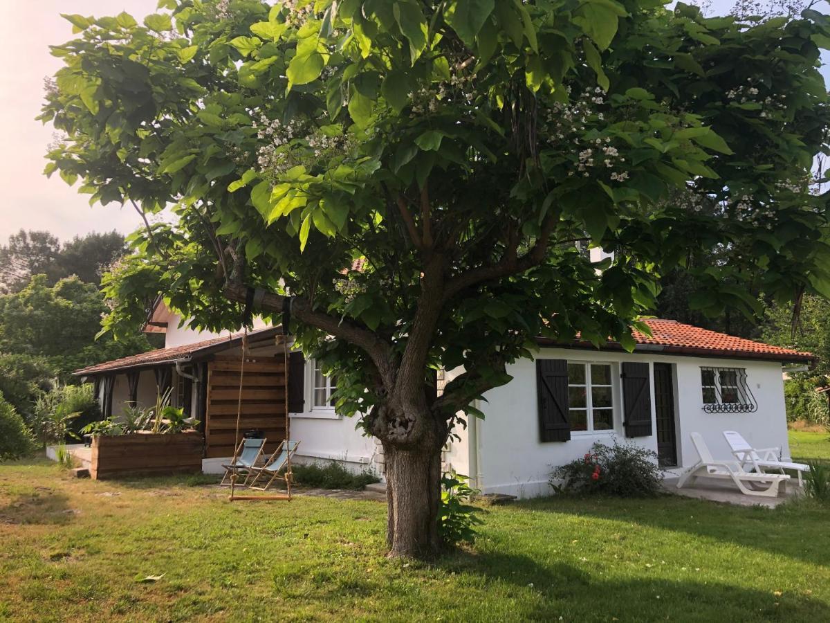 Villa Orcas Léon Exteriör bild