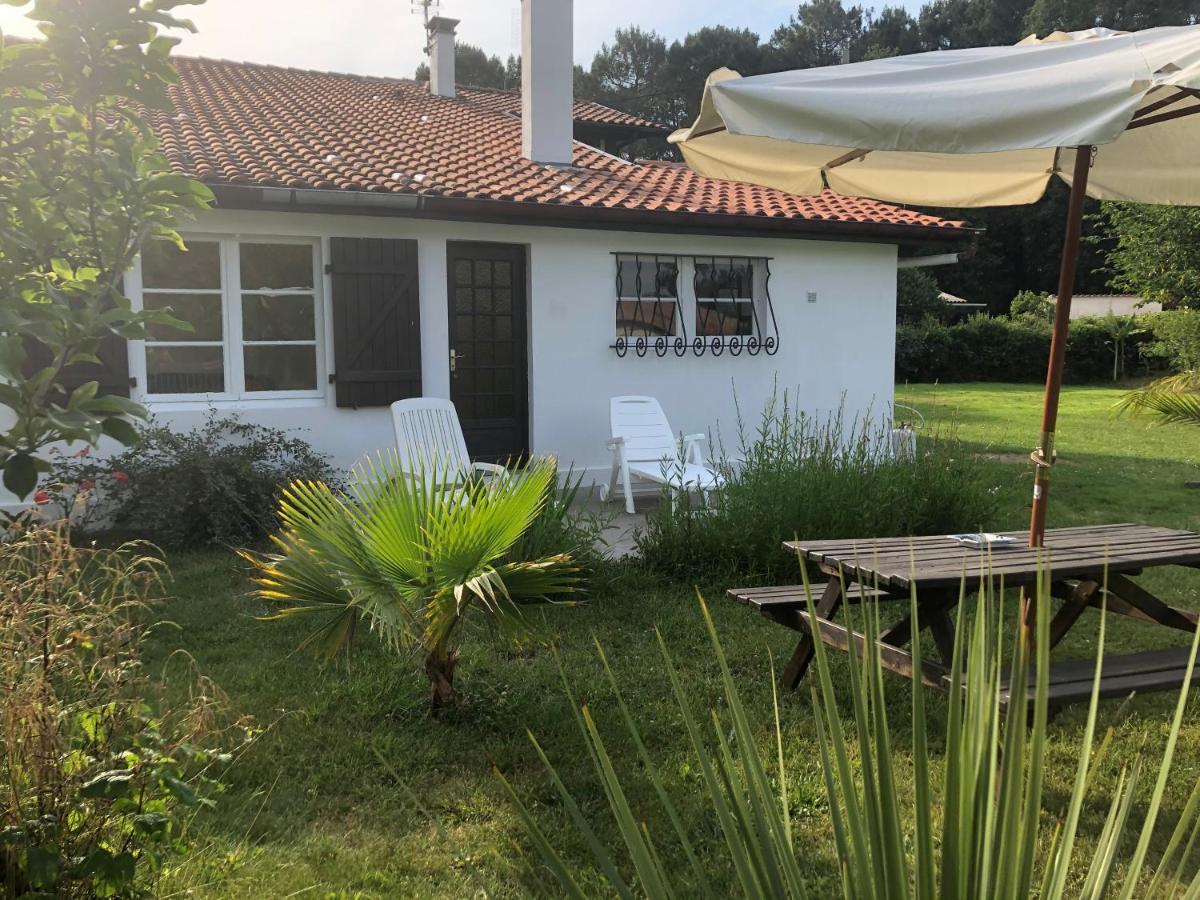 Villa Orcas Léon Exteriör bild