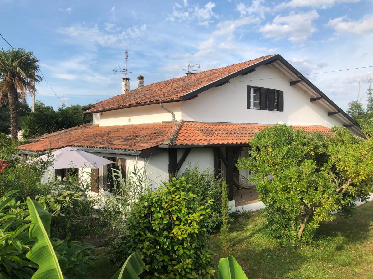 Villa Orcas Léon Exteriör bild